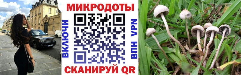 Галлюциногенные грибы GOLDEN TEACHER  Купить где  Белебей 